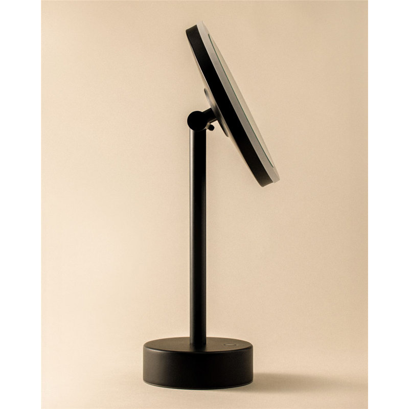 Dauntay Concave Mirror, Light Gray