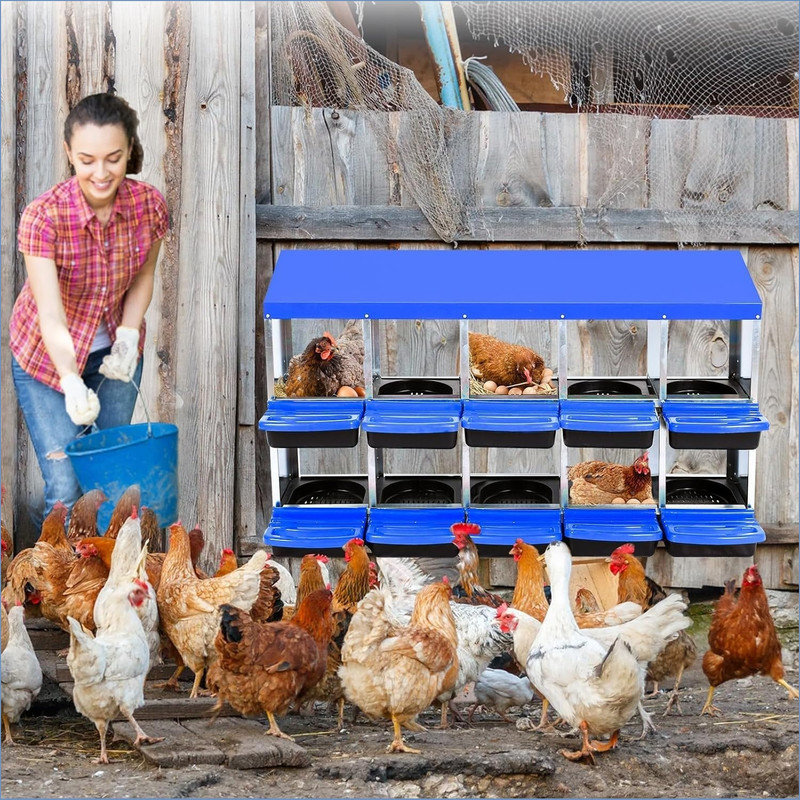 Nesting Boxes