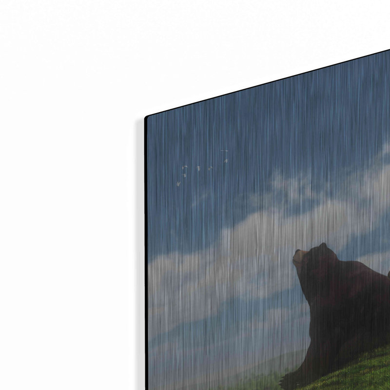 «Cloud Watchers» par Cynthia Decker, H 12 po x l 16 po