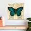 Papillon en soie Crowle II-109395423