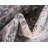 Transitional Gaastra Area Rug Feather Color-214094703