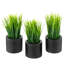 Herbe artificielle à feuilles persistantes en pot-906720105