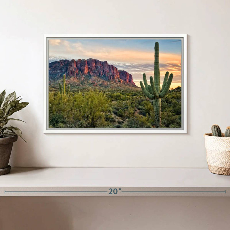 Cactus View II, Cadre flottant blanc, 13 po x 9 po