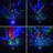Airika Space Projector Night Light