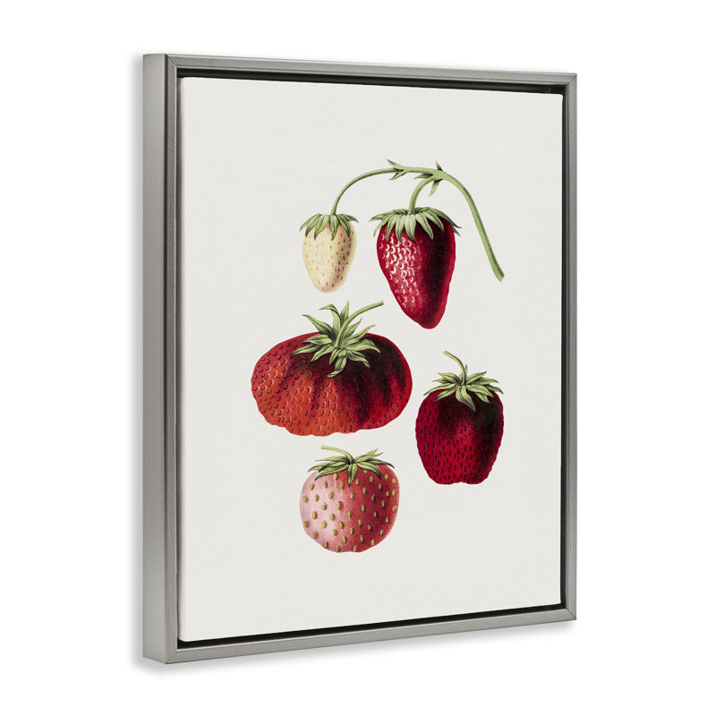 «Natural Berries Study», art mural encadré flottant par lettres et lignes, Cadre flottant gris lustré, H 21 po x l 17 po