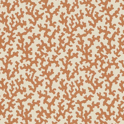 Schumacher x Veere Grenney Folly Fabric