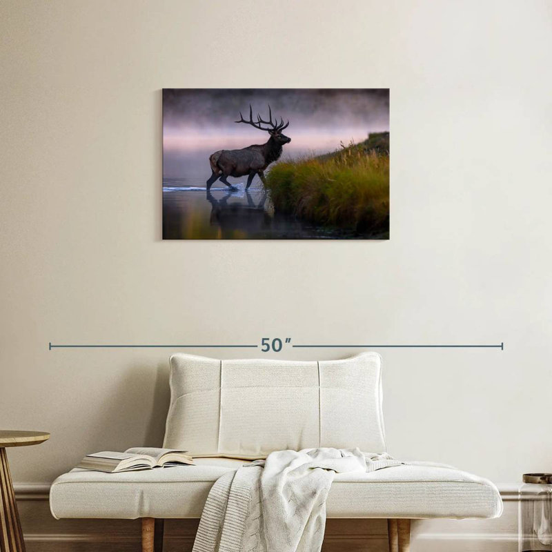 Wapiti dans l'eau, H 20 po x l 30 po