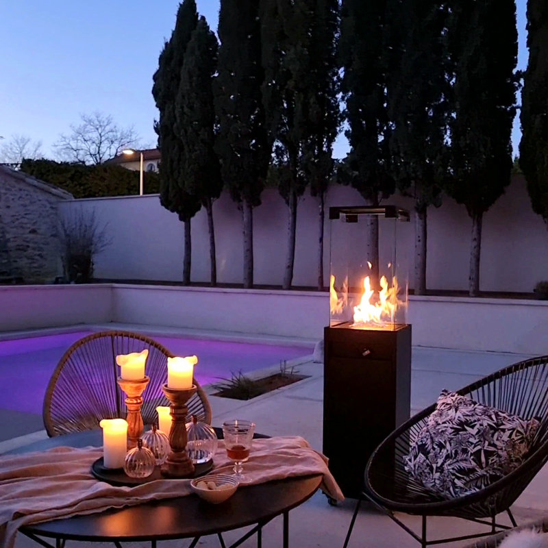Black Propane Patio Heater with Glass Enclosure and Wheels
