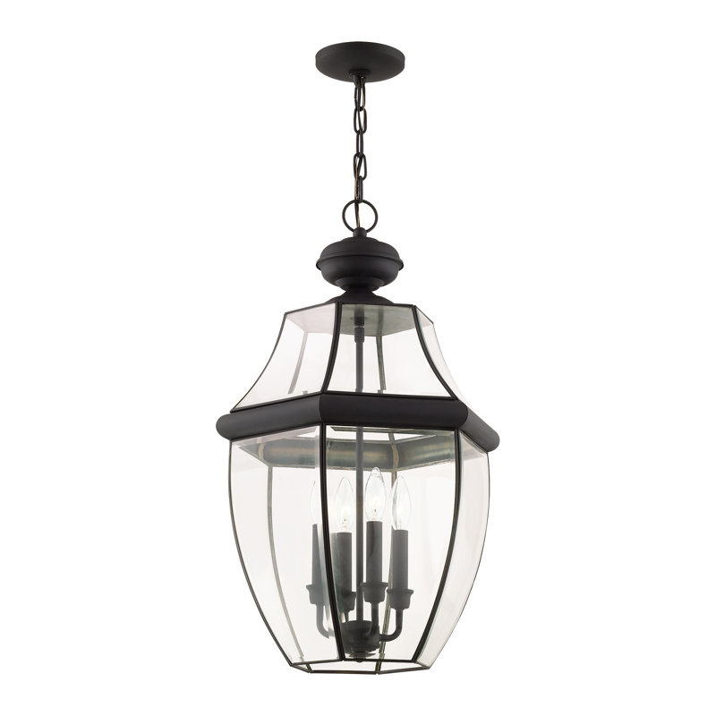 Alexavier 4 - Light Outdoor Hanging Lantern, Black