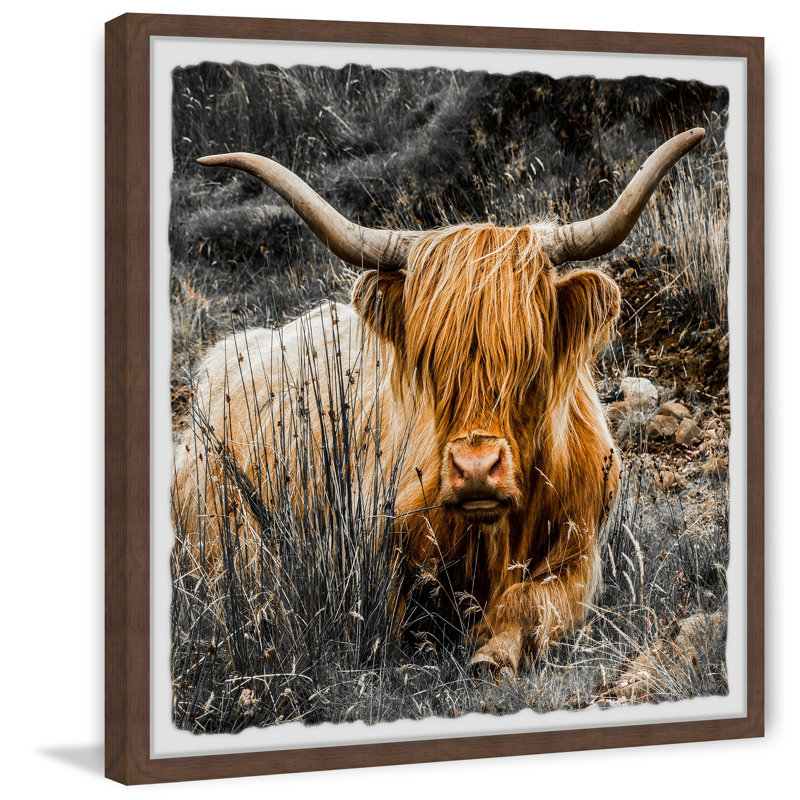 Shaggy Hair - Single Picture Frame Print, 30cm H x 30cm W x 3.81cm D