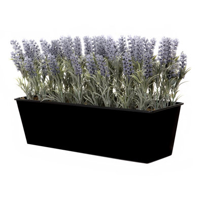 Lavender in Rustic Tin Planter (Window Box)