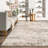 Shockley Faded Floral Performance Beige Rug-1301157995