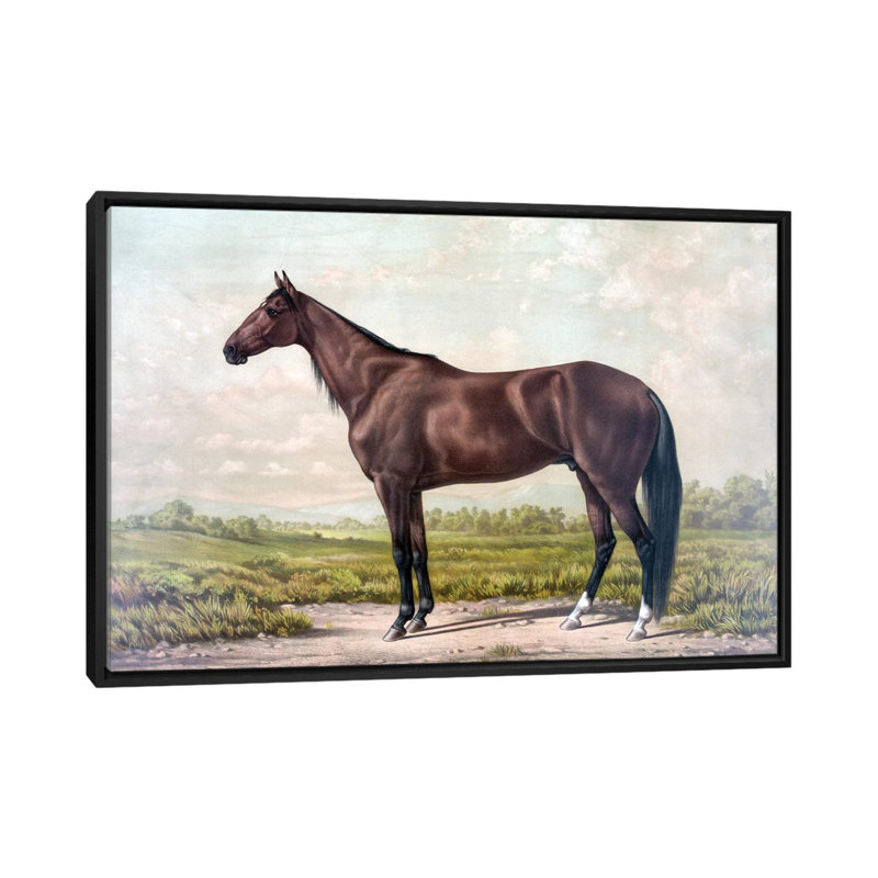 « cheval i », impression sur toile, H 18 po x l 26 po x P 1,5 po, Toile avec cadre noir, Pas de tapis