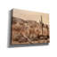 «Epic Graffiti» «Desert Owl» par Lori Deiter, art mural sur toile, 26 po x 18 po-1557433276