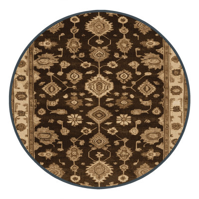 Machine Washable Overdyed Brown Area Rug