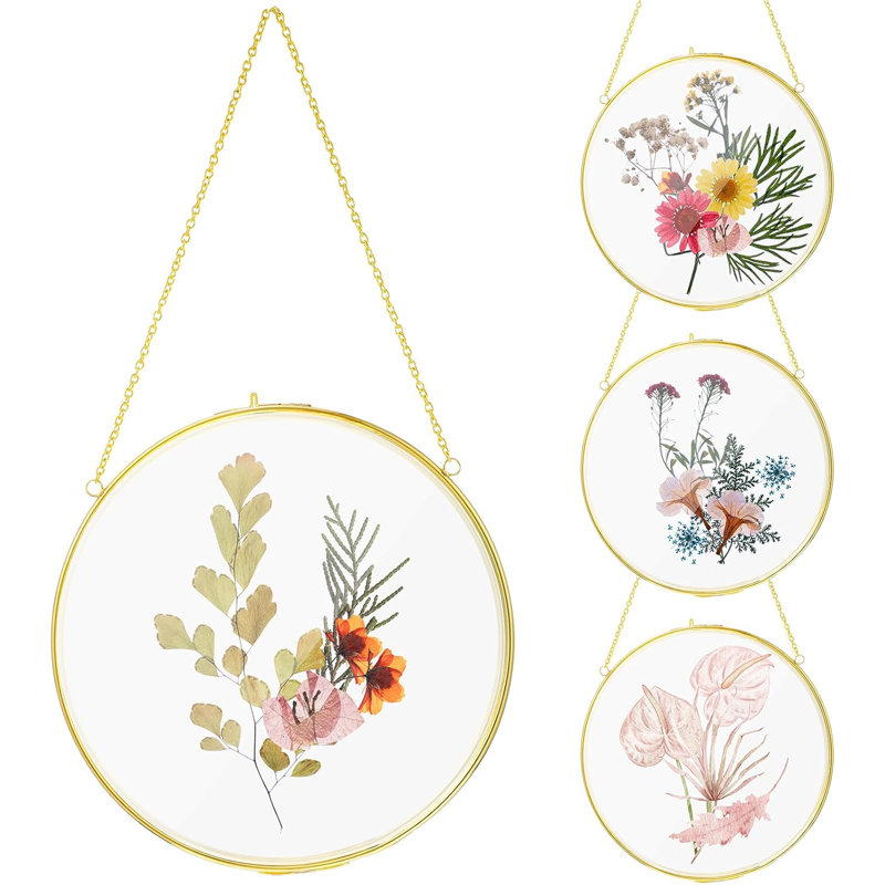 4 pièces double cadre en verre pour fleurs pressées, cadre de presse à fleurs flottant suspendu