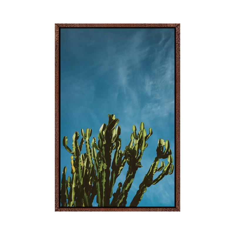 Cactus Sky by Bethany Young - Print on Canvas, Classic Brown Wood Framed, 66.04cm H x 45.72cm W x 3.81cm D