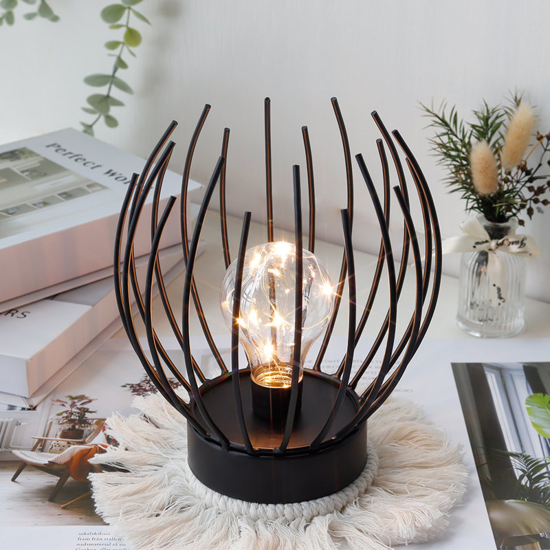Battery Operated Table Lamp Indoors Outdoor Lantern with LED Bulb 