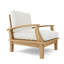 Brianna Outdoor Teak Armchair-1011186926