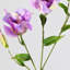 Fleurs de lisianthus artificielles Audet (ensemble de 1 branche)