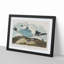 Two Kittiwake Gulls by John James Audubon - Picture Frame Painting Print-55614768-55614765