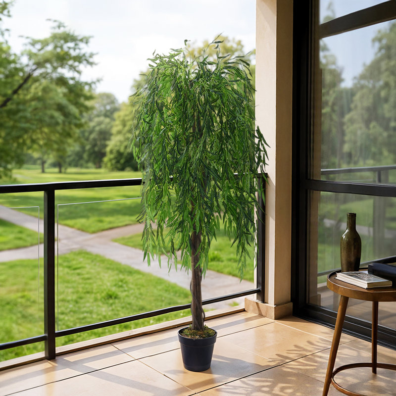 195cm Plant