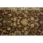 Oriental Area Rug-447935872