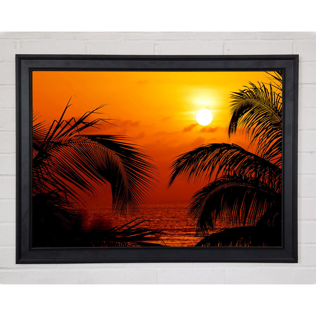 Orange Palmtree Sun Gerahmter Druck 9506