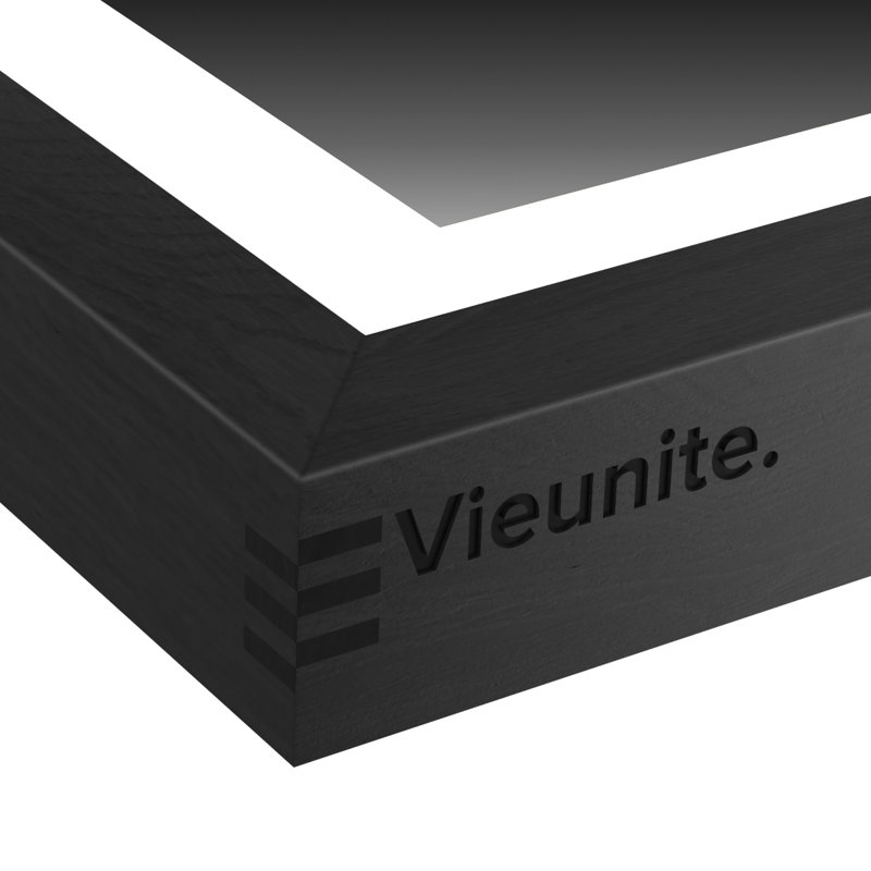 Vieunite Frame Accessory, Black
