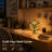 Adjustable-Brightness Lighting in a 4D Infinity Mirror Cube Lamp Design