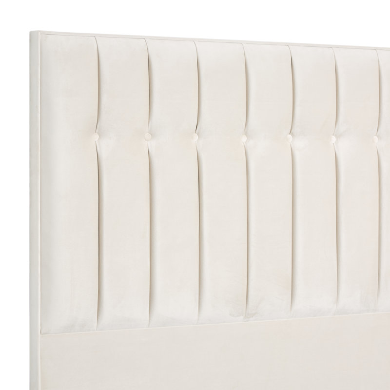 Robbins Upholstered Headboard, Single (3'), Plush Cream, Velvet