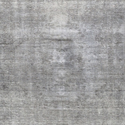 Alben Oriental Indoor Rug