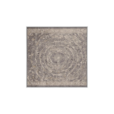 Machine Washable Gray Area Rug