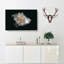 A White Rose In Abstract - Wrapped Canvas-55300527