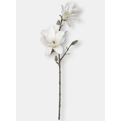 Sullivan's Set of 3 Magnolia Stem for Everyday Decor 25 Inch Tall