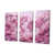 Toile tendue sélectionné