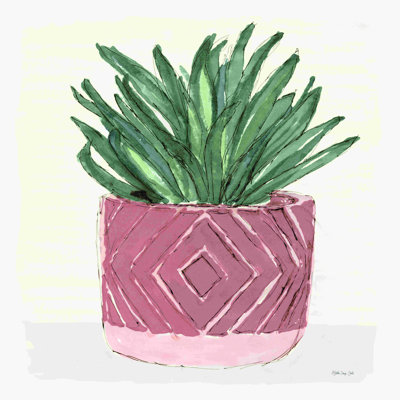 " Agave 2 "