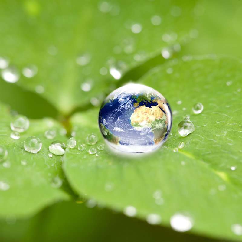Water Drop On Cloverleaf by Crossbrain66 - Wrapped Canvas Print, 91cm H x 91cm W x 3.8cm D