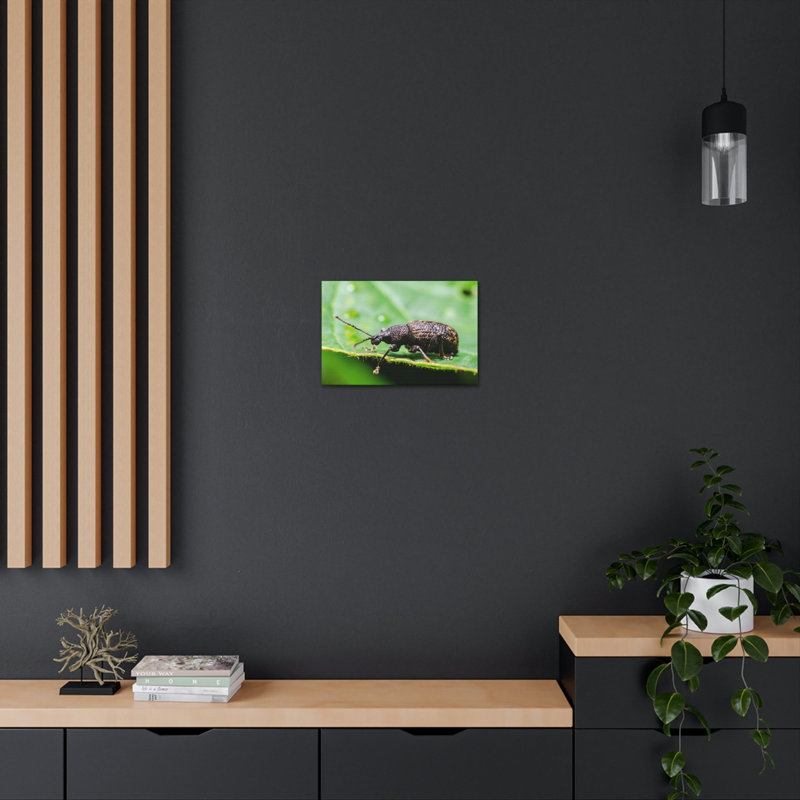 No Frame Print on Canvas, 27.94cm H x 35.56cm W