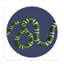 Sous-verres ronds en cuir Serpent-119015236