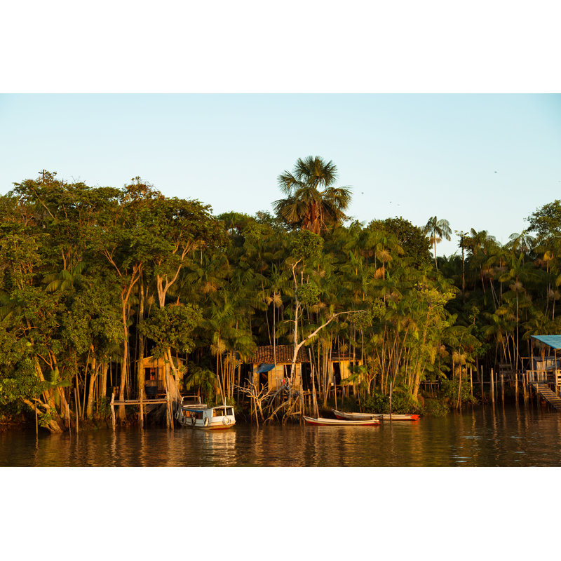 Amazon River And Rainforest - Wrapped Canvas Print, 30cm H x 46cm W x 3.8cm D
