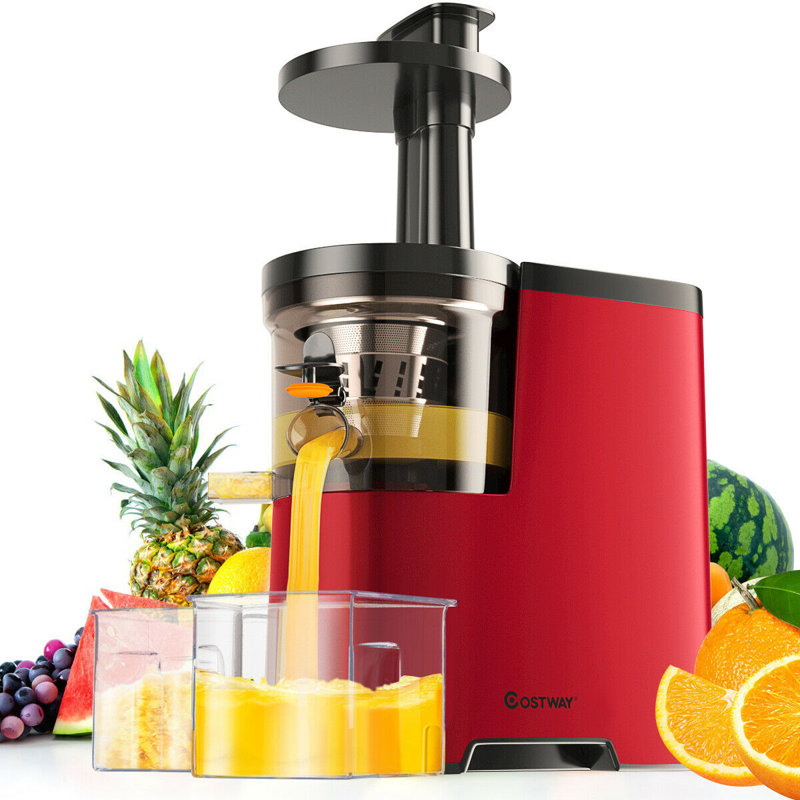 Costway Slow Masticating & Cold Press Juicer