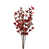 Cranberry selected