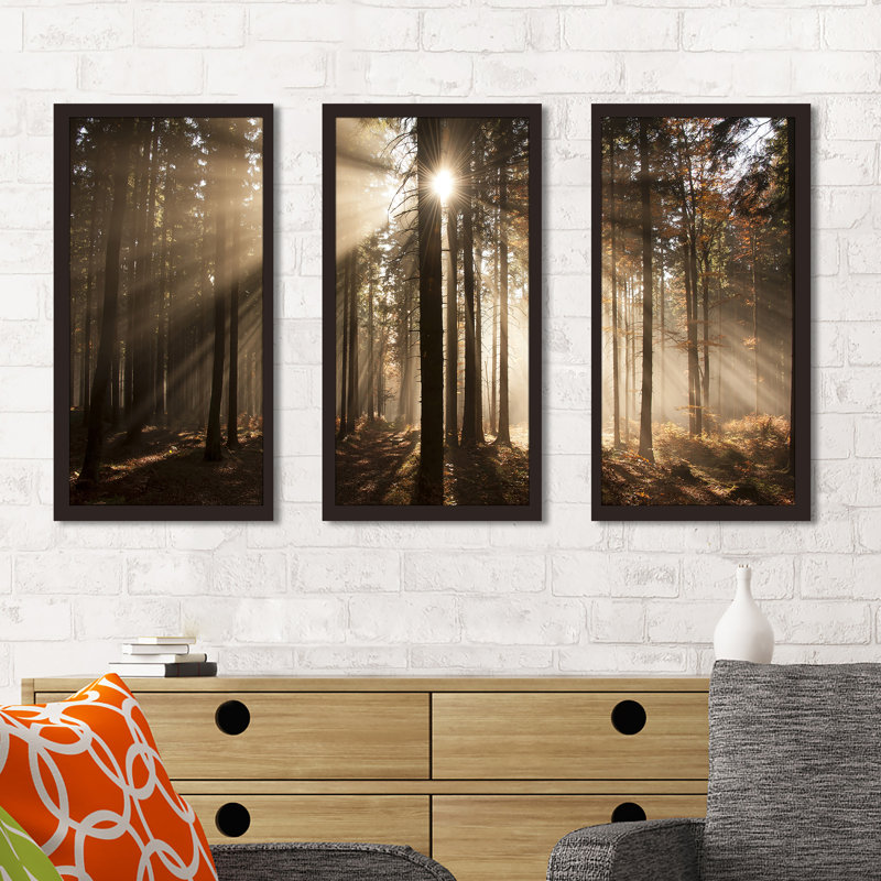 «Autumn Morning in Forest», ensemble de 3 reproductions de photos encadrées, H 33,5 po x l 52,5 po x P 1 po