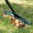 Adjustable Push Brooms with Replaceable Head
