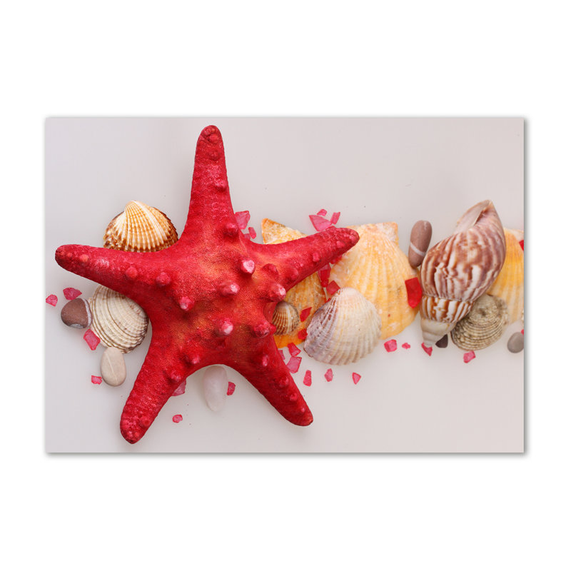 Starfish And Shells - Wrapped Canvas Print