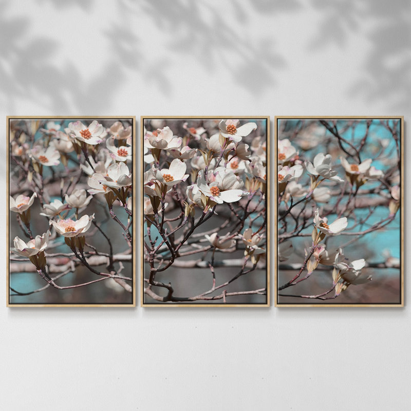 Dogwood Spring II, reproduction sur toile 3 pièces, H 24 po x l 48 po x P 2 po, Naturel