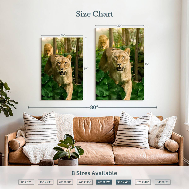Brampt Hunting Lioness, 39" H x 26" W