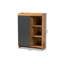 Armoire de rangement à chaussures 12 paires Merrick