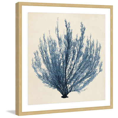 «Coastal Seaweed III» par Marmont Hill - Reproduction d'art graphique sur papier encadré
